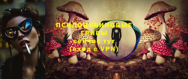ПСИЛОЦИБИНОВЫЕ ГРИБЫ Баксан