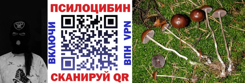 Галлюциногенные грибы Psilocybine cubensis  дарнет шоп  Качканар 